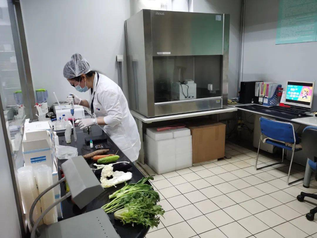 大邑食品检测实验室装修方案